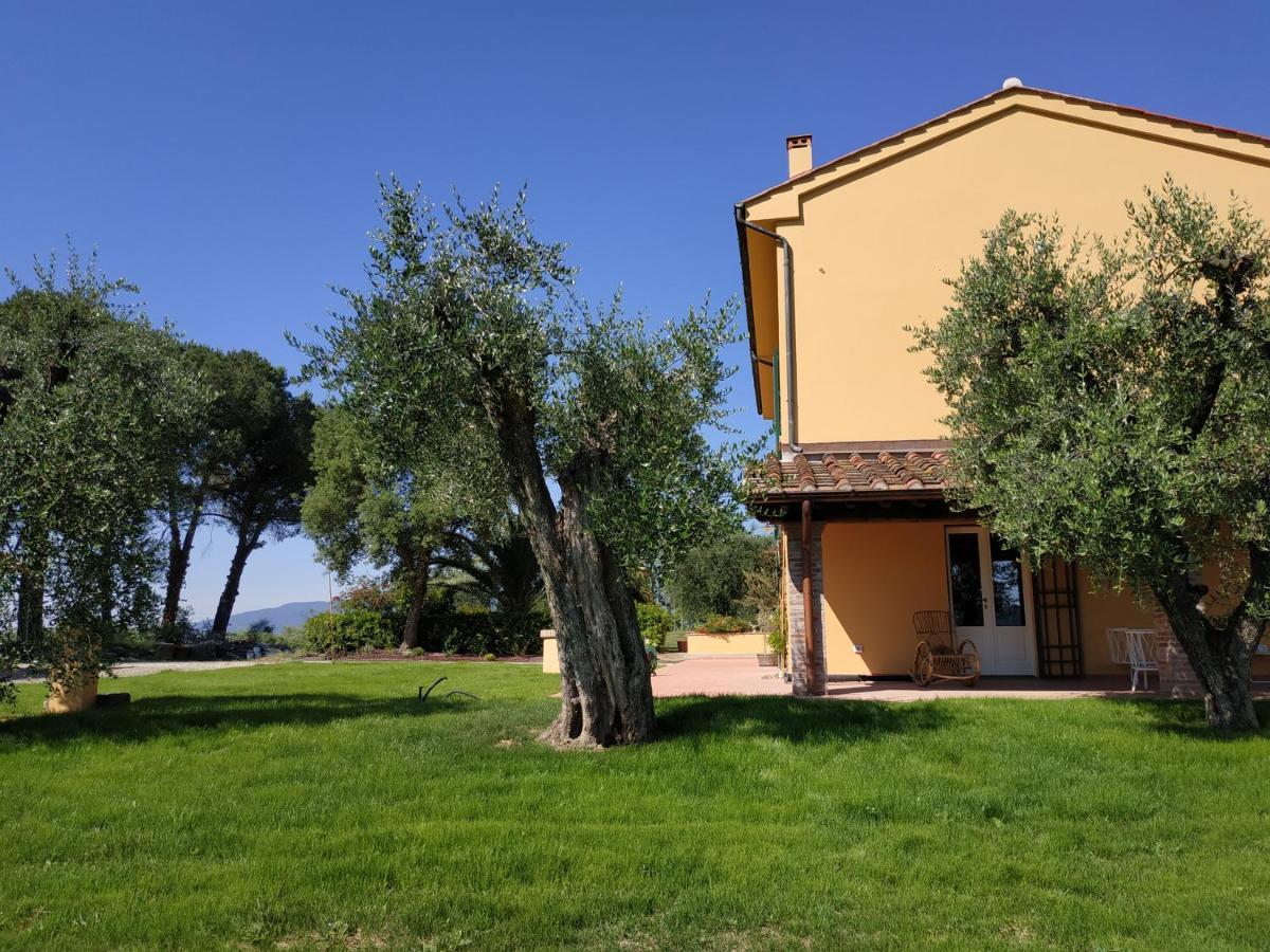 B&B La Casetta Montecarlo Exterior photo